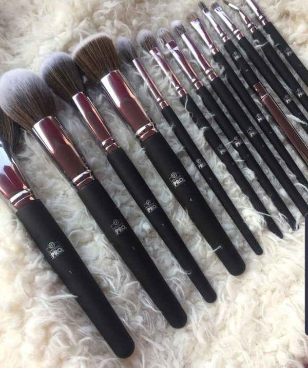 BH STUDIO PRO - 13pcs Brush Set
